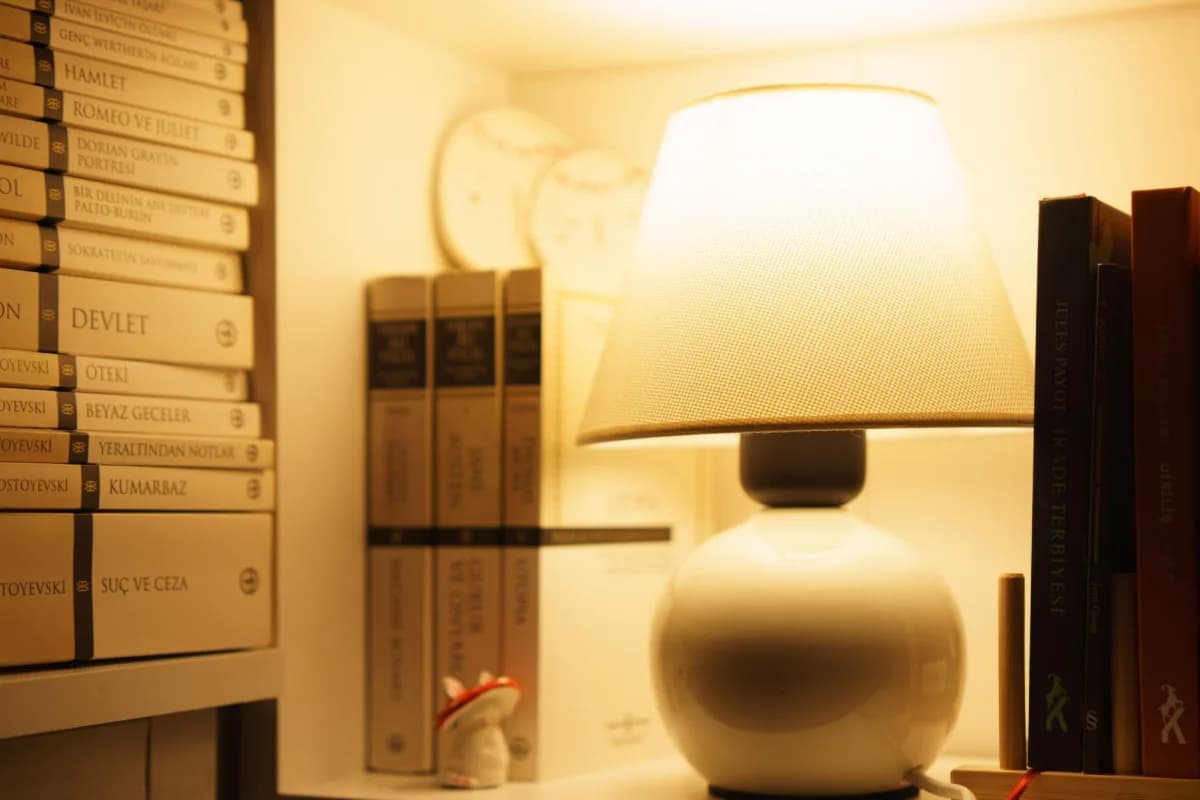 Chụp đèn ngủ presidential suite: Lụa 2 da cao cấp nhất — ảnh minh họa
